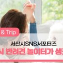 서산시동물보호센터 이미지