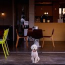 모노가든 이미지