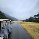 골든골프연습장 이미지