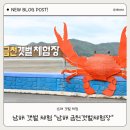 남해-116 | 남해 금천 갯벌 체험장 ㅣ 남해 아이와 가기 좋은 체험 후기