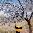 명륜진사갈비대전중촌점 이미지