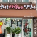 냥이를 사랑하는 멍멍이 이미지