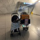 픽업 | 필리핀 세부 여행 준비물 아이랑 그랩택시(GrabTaxi) 공항픽업 후기