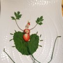 새신푸드
