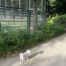 계촌리(게이트볼장)야외운동기구 | 20개월 아기와 갈 만한 곳 아이와 갈 만한 곳 "보라매 공원" 다녀온 후기