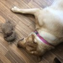 시원손안마원 이미지