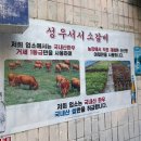 션블루부천지점 | [마포] 35년 넘게 사랑받는 노포 내공이 느껴지는 블루리본 한우 갈비 맛집 성우서서갈비ㅣ션 유튜브...