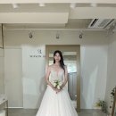 알렉스 | 촬영 드레스 후기 - 시즌알렉스 ଘ(❁•̀ 3 •́)━☆*✲ 셀렉부터 촬영까지