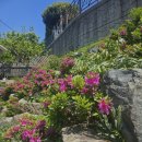 모리아펜션 이미지