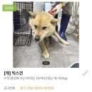 이성준동물병원 이미지