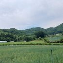 진부역공인중개사사무소 | 과수원·농장 찾는 분 필수! 진부 시골마을 확트인 조망 남향 평탄부지(1429평,17만원/평)강원도평창...