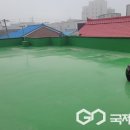 왕장2리 국제뉴스