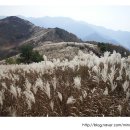 민둥산산마루시루봉펜션 이미지