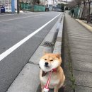 커피공방 이미지