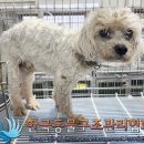삼척시동물보호센터 동물병원 이미지