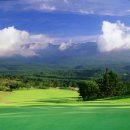 한라산CC 이미지