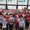 용인대 현대태권도 이미지