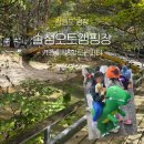 금당계곡 펜션 | 아이와 반려견과 함께 즐기는 키즈캠핑ㅣ솔섬오토캠핑장 후기