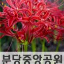 중앙공원 배드민턴장 이미지