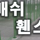 에이치에스상사 이미지