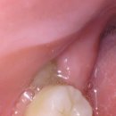 리볼리치과의원 이미지