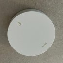 보라 | 건성 웜톤이 써본 아멜리 쿠션 보라 후기