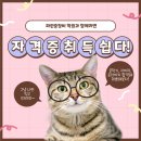 파란중장비학원