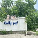 여주-0302 이미지