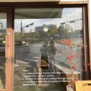➿ 2021, 춘천 여행 2 (오이트에스프레소바/해피초원목장/카페옥산/손수해물손칼국수)