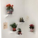 짜장마켓 이미지