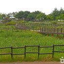 주식회사 조아
