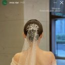 스냅시고snapsigo 네이버블로그