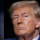 미국 대선은 &#34;트럼프가 이긴 것이 아닌 해리스가 졌다&#34; 전문가들이 단언하는 결정적 이유 이미지