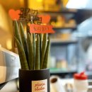 토리후니 이미지