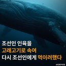 조선인 인육 배급·집단학살…'밀리환초 사건' 알린다 이미지