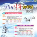 퍼시즌투어