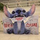 우린 너무 아름다워서 꼭 껴안고 살아가야 해