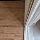 더 프로크린 이미지