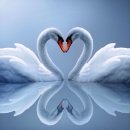 하트러브 이미지