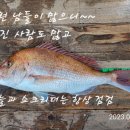 바칸라이프
