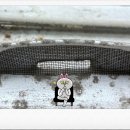 성서2차영남우방 이미지