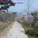 옥도면 장자도리 이미지