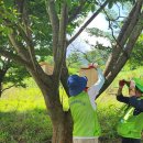 자연의 둥지 이미지