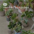 오비5길 이미지