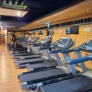 (주)카디오헬스 이미지