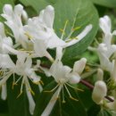 (주)동부약품 이미지