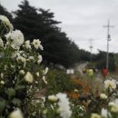 도원1리마을회관 이미지