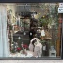 준플라워 | 집 분위기 확 바꿔준 모스플라워 꽃다발 후기 / 구산동꽃집 추천