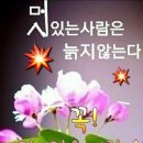 숙 Daum카페