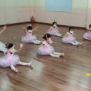 올리브유치원 이미지